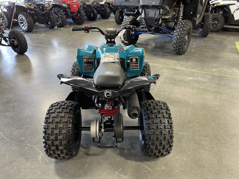 New 2023 Can-Am Renegade 110 EFI Youth ATV - Image 3